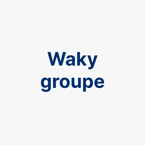 Logo Waky Groupe